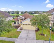 10911 Observatory Way, Tampa image