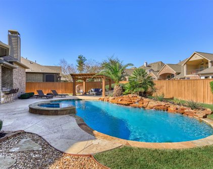 229 S Chaparral Bend Drive, Montgomery