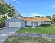 2314 Long Green Court, Valrico image