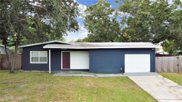 5120 Murray Hill Drive, Tampa image