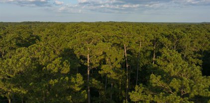 TBD 1 Fm 1414, Burkeville