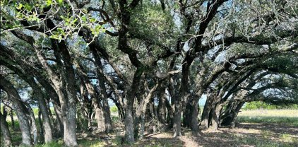 Lot 37, 38, 49 County Road 3640 W/S, Lampasas