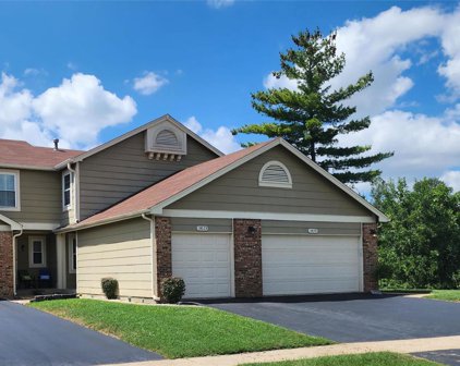12073 Autumn Lakes  Drive, Maryland Heights
