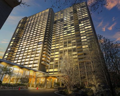 4250 N Marine Drive Unit #2435, Chicago