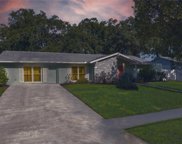 7006 Mintwood Court, Tampa image