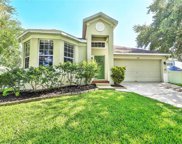 1419 Lawson Palm Court, Apopka image