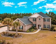 1005 Dowitcher Dr., Conway image