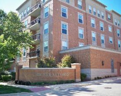 190 W Johnson Street Unit #405, Palatine