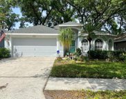 4633 Whispering Park Lane, Tampa image