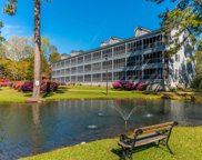 1307 Cypress Pointe Unit #A307, Manning image