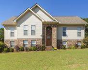 240 Cottage Court, Springville image