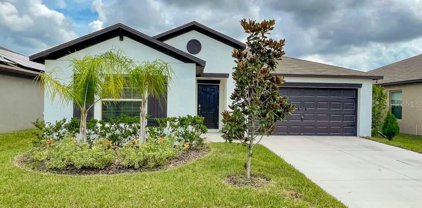15704 Charr Island Street, Sun City Center