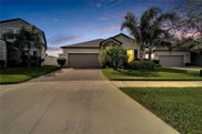 13334 Wildflower Meadow Drive, Riverview image