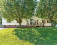 4694 Iron Weed Drive, McLeansville image