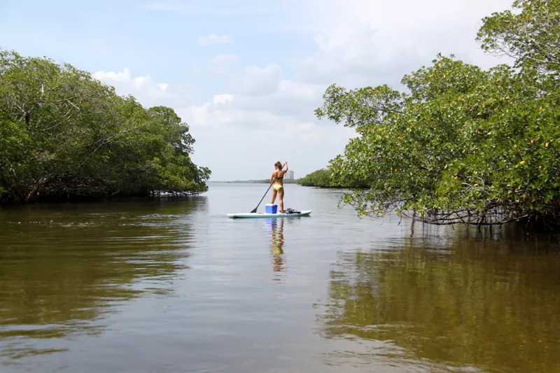 Estero Bay Shores Bonita springs