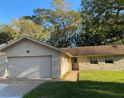 4303 Ravine Drive, Friendswood image