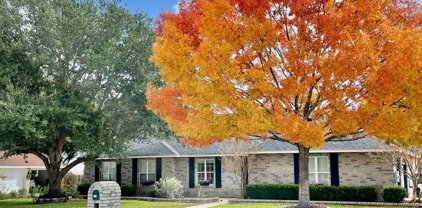 133 Alexandria St, La Vernia