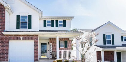 10390 Tiffany Village Circle  Drive, St Louis