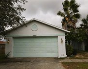 3487 Chadwick Avenue, Spring Hill image