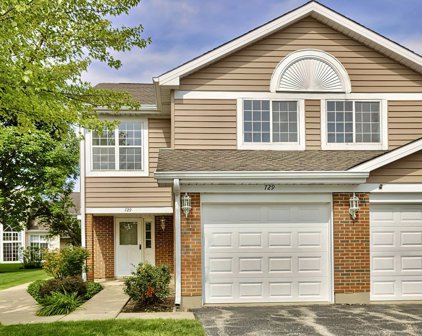 729 W Happfield Drive Unit #729, Arlington Heights