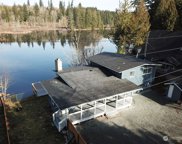 13615 Twin Lakes Drive E, Graham image