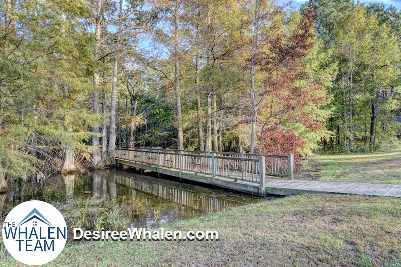 walking trail