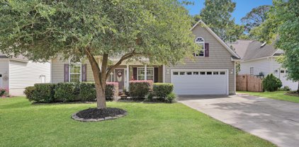 117 Southern Magnolia Court, Hampstead