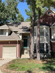 154 N Magnolia Pond Place, The Woodlands image