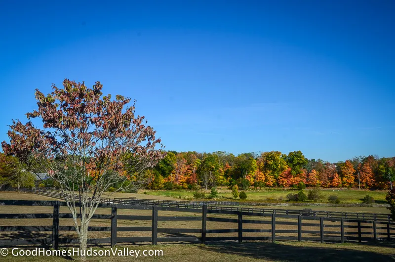 Horse Farms in Warwick NY