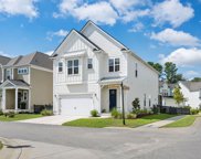 2282 Braided Lane, Mount Pleasant image