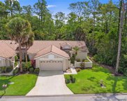 28791 Wild Coffee Court, Bonita Springs image