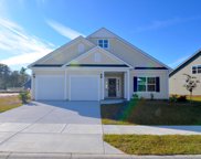 221 Fiddleback Drive, Summerville image