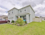 11515 Koti Creek Lane, Thonotosassa image