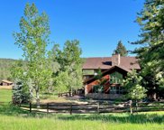 1100 Madge Gulch Road, Sedalia image