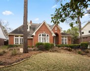 142 Golden Shadow Circle, The Woodlands image