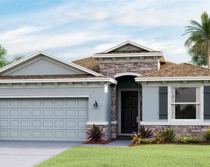 12476 Dora Trail, Parrish