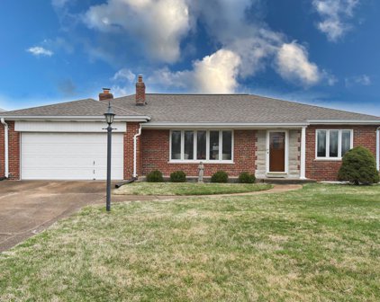 9864 Knollshire  Drive, St Louis