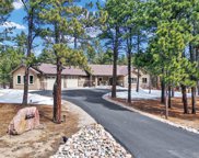 15224 Pole Pine Point, Colorado Springs image