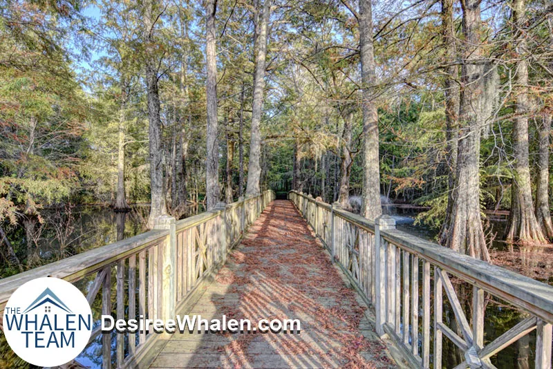 wooded walking trail