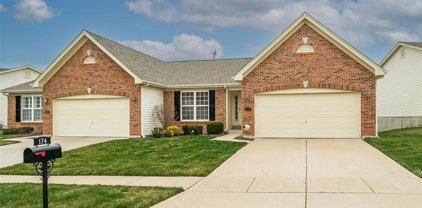 174 New Holland  Drive, Chesterfield