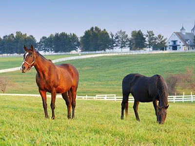 Colorado farms and ranches for sale