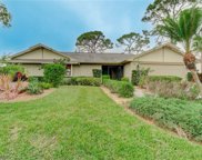 16725 Bobcat  Drive, Fort Myers image