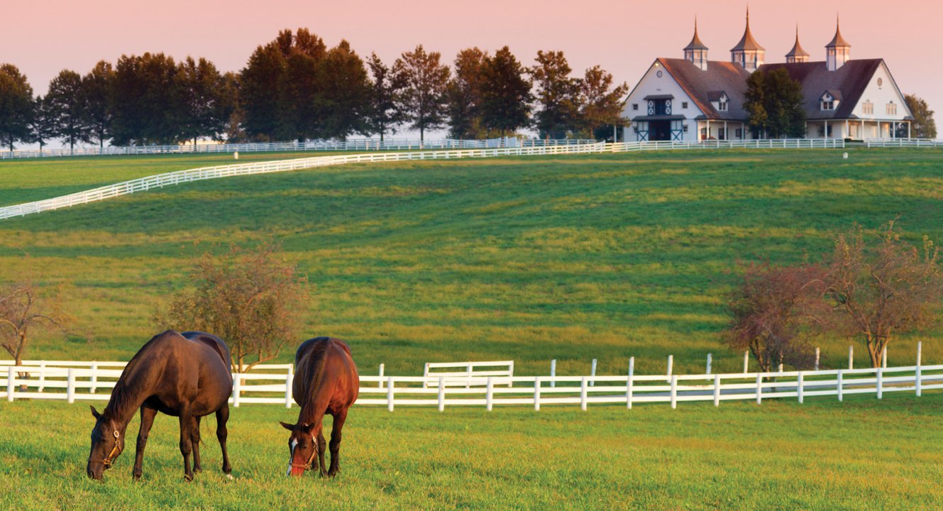 Equestrian Property Collier Co.