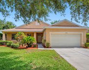 11045 Holly Cone Drive, Riverview image