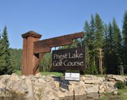Blk 3 Lot 3 Priest Lake Golf Estates, Priest River image