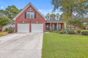 100 Bay Colony Court, Summerville image