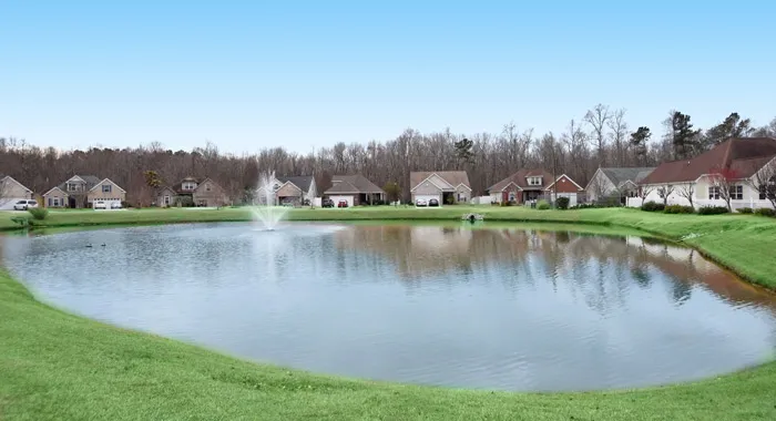 Lake in Fox Chase, Murrells Inlet