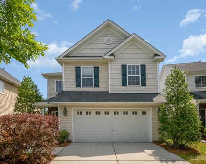1008 Mountain Laurel  Court, Stallings
