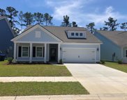 2369 Blue Crane Circle, Myrtle Beach image