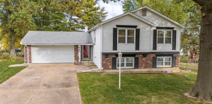 940 Millwood  Drive, St Peters